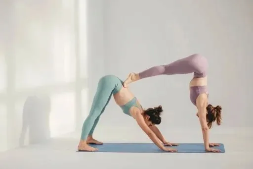 mata-do-jogi-sayoga-performance-cosmic-alignment