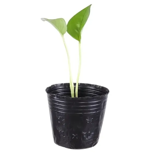 doniczki-p15-produkcyjne-100szt-15l-rozsad-upraw-wysiewu-15x15-znaczniki-material-wykonania-tworzywo-sztuczne