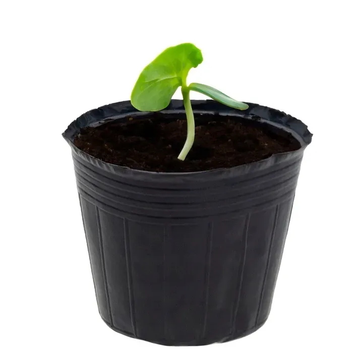 doniczki-p15-produkcyjne-100szt-15l-rozsad-upraw-wysiewu-15x15-znaczniki