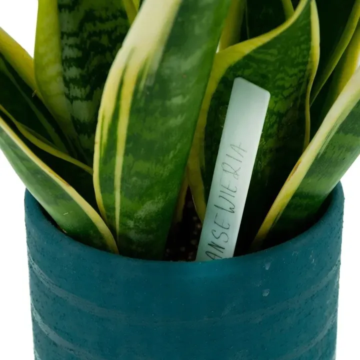 doniczki-p15-produkcyjne-100szt-15l-rozsad-upraw-wysiewu-15x15-znaczniki