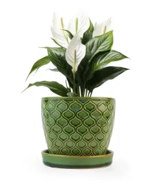 oslonka-ceramiczna-zielona-z-podstawka-12x10cm-vitage-luski-oryginalna