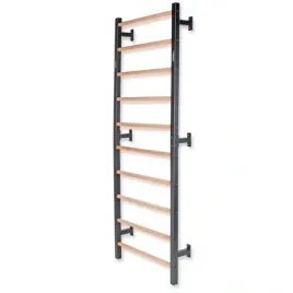 drabinka-gimnastyczna-olejowane-drewno-231x755-cm