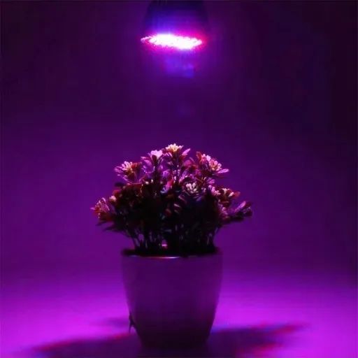 zarowka-led-grow-light-do-uprawy-roslin-80w-e27