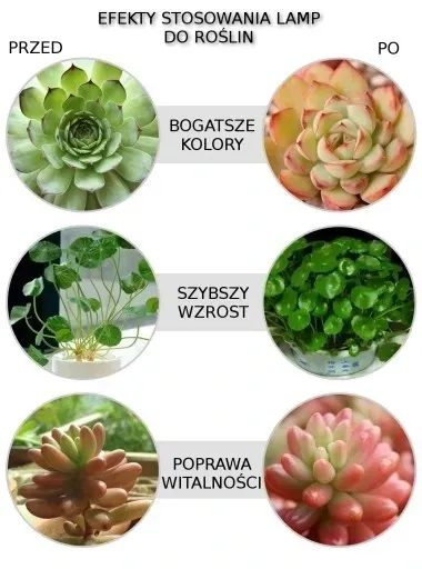 zarowka-led-grow-light-do-uprawy-roslin-80w-e27-stan-nowy-waga-z-opakowaniem-0-01-kg