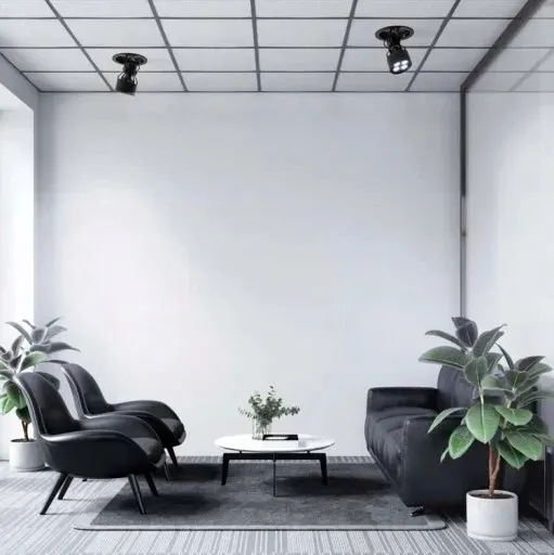 verticana-ceiling-holder-czarny-oprawa-na-stan-nowy-kolor-bialy