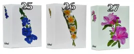 album-kieszeniowy-wsuwany-do-zdjec-10x15-300-mix