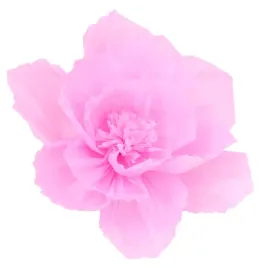 kwiat-bibulowy-dekoracje-na-urodziny-do-girlandy-balonowej-ozdoba-scianki