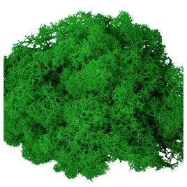 mech-chrobotek-dekoracyjny-ciemno-zielony-naturalny-reniferowy-finski-30g