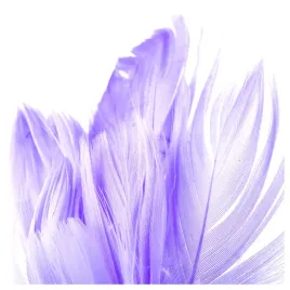 piorko-dekoracyjne-torebka-piorka-ozdobne-piora-puch-ozdobny-w-torebce