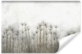 fototapeta-do-salonu-wysoka-trawa-rosliny-natura-abstrakcja-beton-450x300