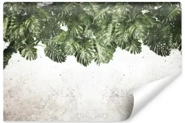 fototapeta-scienna-natura-liscie-monstery-beton-abstrakcja-efekt-3d-400x280