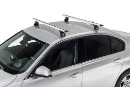 bagaznik-dachowy-renault-scenic-ii-grand-scenic-ii-03-09-cruz-936009