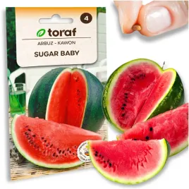 plantico-arbuz-kawon-sugar-baby-2g-smaczny-soczysty-do-uprawy-w-polsce-nr-1