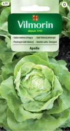 salata-maslowa-zimujaca-wczesna-apollo-1-g-nasiona-1-g-vilmorin