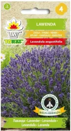 lawenda-lekarska-odpedza-komary-i-wabi-motyle-wieloletnia-02g