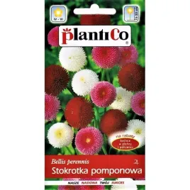 stokrotka-pomponowa-mix-nasiona-wieloletnia-trawnikowa-mieszanka-01g