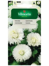 stokrotka-olbrzymia-ave-wieloletnia-trawnikowa-trawnik-biala-02g-vilmorin