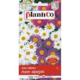 aster-alpejski-03g-wielletni-mix-kolorow-na-trawnik-rabaty-skalniaki