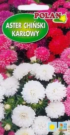 nasiona-aster-chinski-karlowy-mix-kolorow-mieszanka-rabaty-balkon-kwietniki