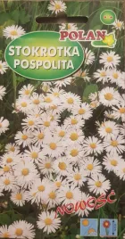 stokrotka-lakowa-biala-bellis-perennis-trawnikowa-nasiona-2g-trawnik