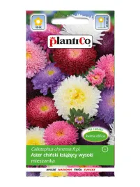 aster-ksiazecy-wysoki-mix-kolorow-1-gr-rabaty-kwiaty-ciete-kwietniki