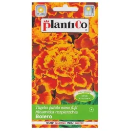 aksamitka-rozpierzchla-bolero-niska-nasiona-miodowo-pomaranczowa-1g