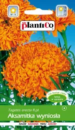 aksamitka-fantastic-wysoka-pomaranczowa-kwiaty-jadalne-05g-plantico