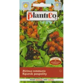 racznik-pospolity-kasztanowiec-antykret-odstrasza-krety-nasion-001-g