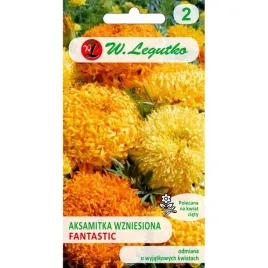 aksamitka-fantastic-piekne-duze-kwiaty-wysoka-p-omaranczowa-mieszanka-04g