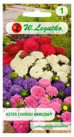 aster-chinski-karlowy-mieszanka-mix-kolorow-1g-rabaty-kwietniki-balkon