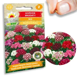 gozdzik-brodaty-mix-nasiona-kwiatow-1g-toraf