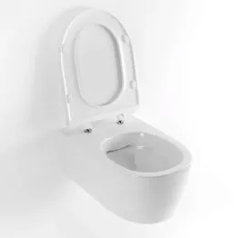 miska-wc-bezrantowa-doto-pure-rim-54-ceax-1404-545