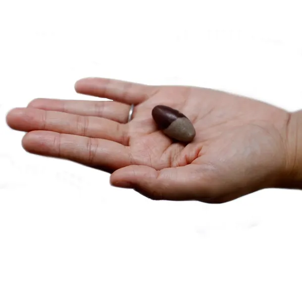 3-kamienie-shiva-lingam-ksztalt-owal