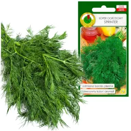 koper-ogrodowy-sprinter-plenny-wczesny-dlugi-zbior