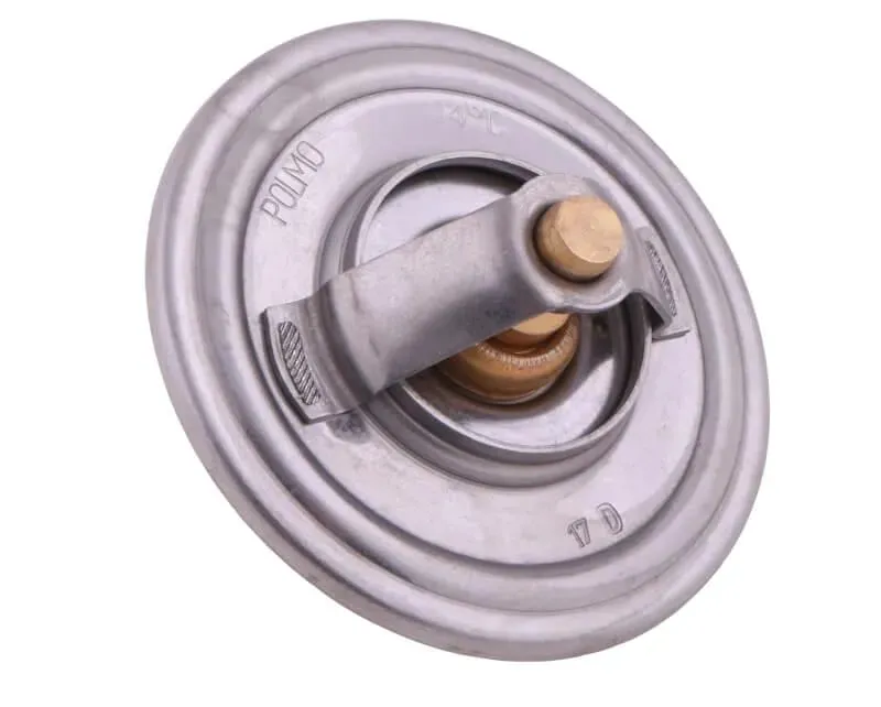 termostat-sw400-bizon-polmo-stan-nowy