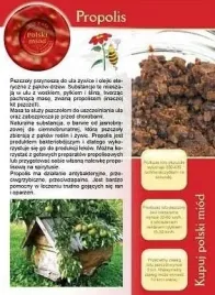 broszura-informacyjna-ulotka-propolis-ul-pasieka-20-szt