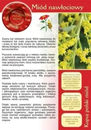 broszura-informacyjna-ulotka-miod-nawlociowy-ul-pasieka-20-szt