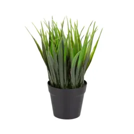 sztuczna-roslina-doniczkowa-erba-essentials-erba-19-cm-homla