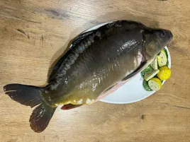 karp-swiezy-patroszony-2-kg-tartek