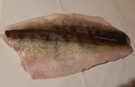 sandacz-jeziorowy-filet-1-kg-swiezy