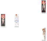 dakimakura-one-piece-do-wyboru-150x50-stan-nowy-tematyka-motyw-manga-i-anime