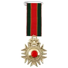 medal-historyczny-z-czerwonym-kamieniem-zloty-order