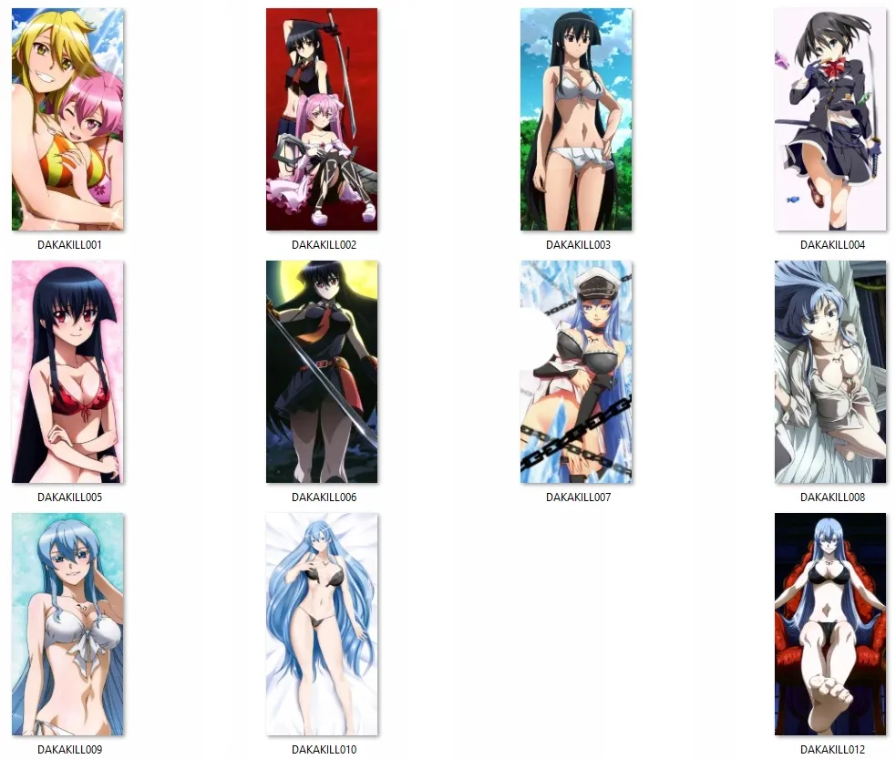 dakimakura-akame-ga-kill-duza