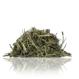 koniczyna-dla-wszystkich-papug-120g