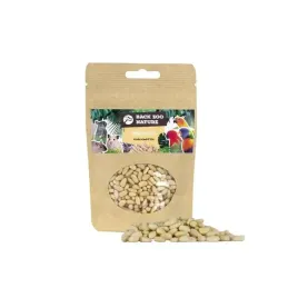 back-zoo-nature-orzeszki-pinii-dla-papug-50g