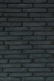 plytki-ceglane-long-tom-antracyt