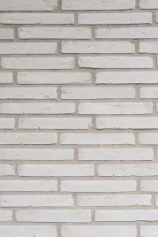 plytki-ceglane-long-tom-white