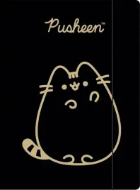 pusheen-gold-teczka-z-gumka-a4-na-rysunki-dla-dziewczynki-kotorozec-1-sztuk
