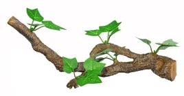 terra-natura-galaz-z-liscmi-m-do-terrarium