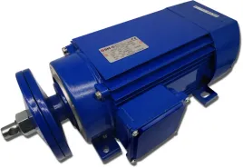 silnik-elektryczny-55kw-400-690v-2880obr-l-jamnik-3-fazowy